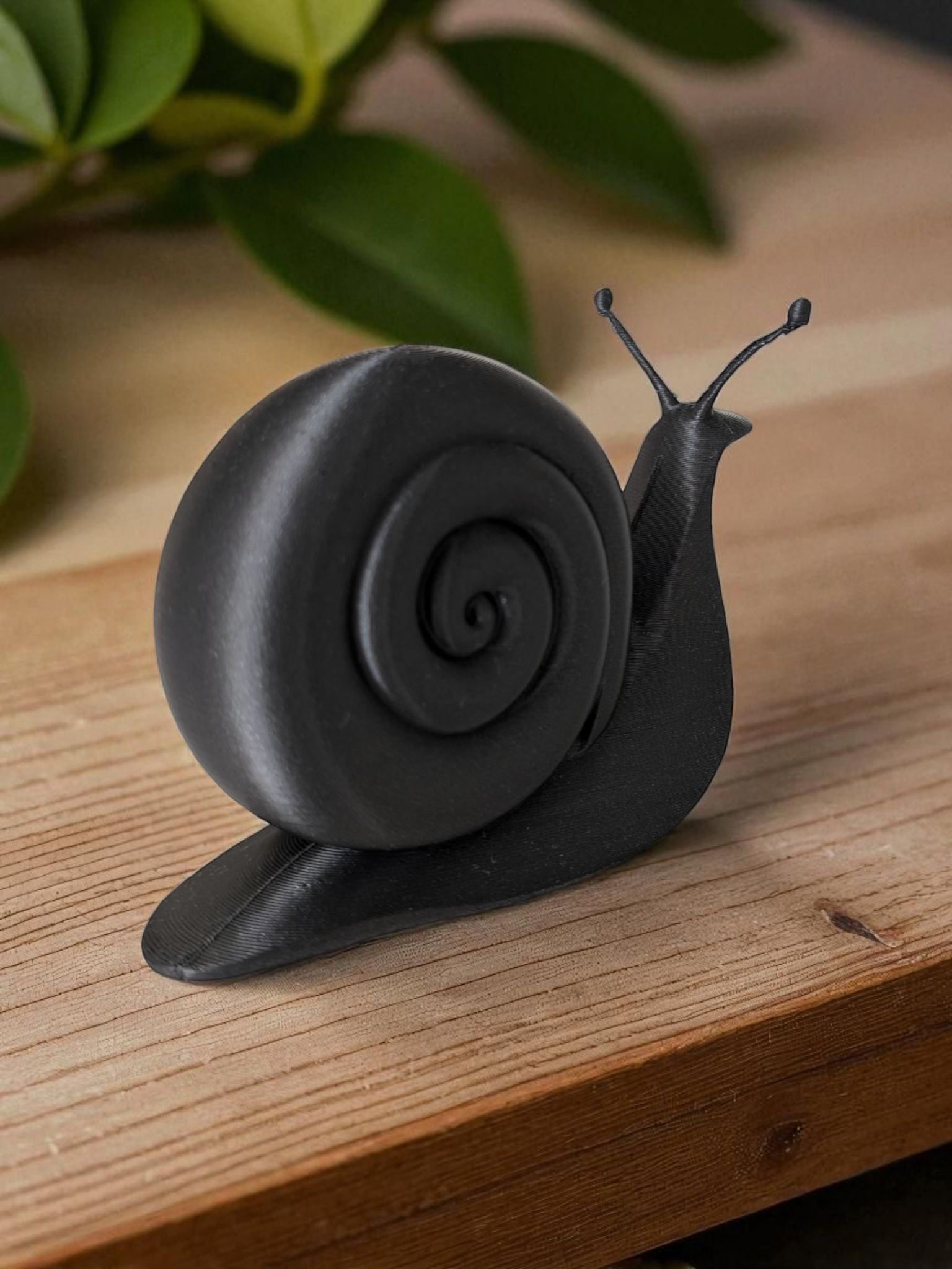 Escargot minimaliste — vue 3