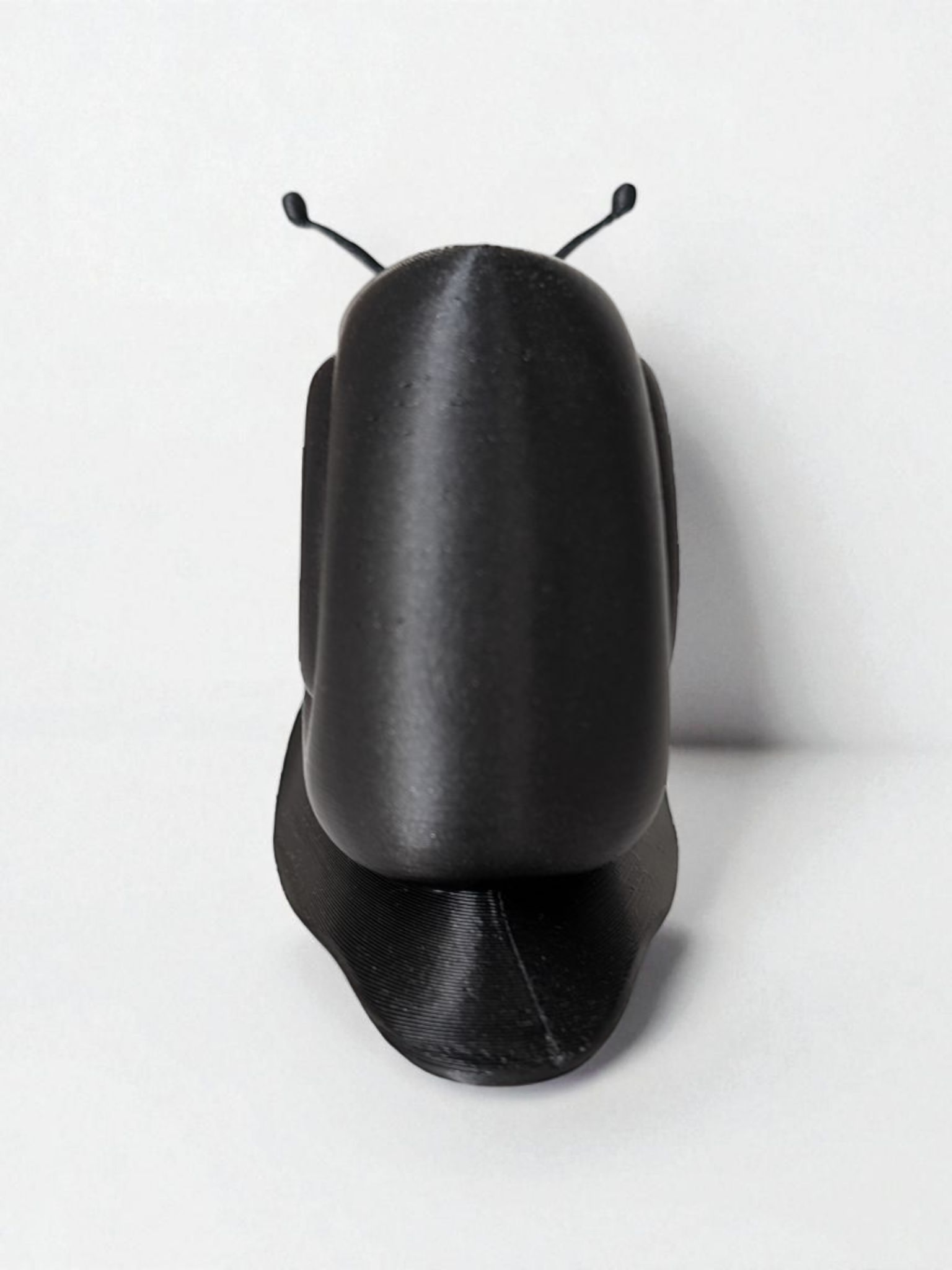 Escargot minimaliste — vue 4