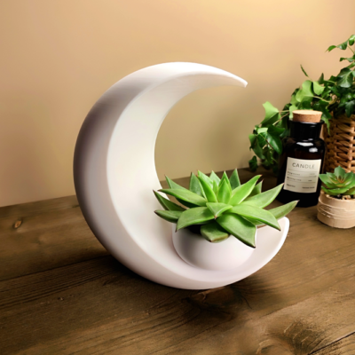 Cache-pot croissant de lune (succulentes / vase)
