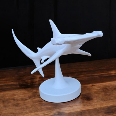 Requin-marteau