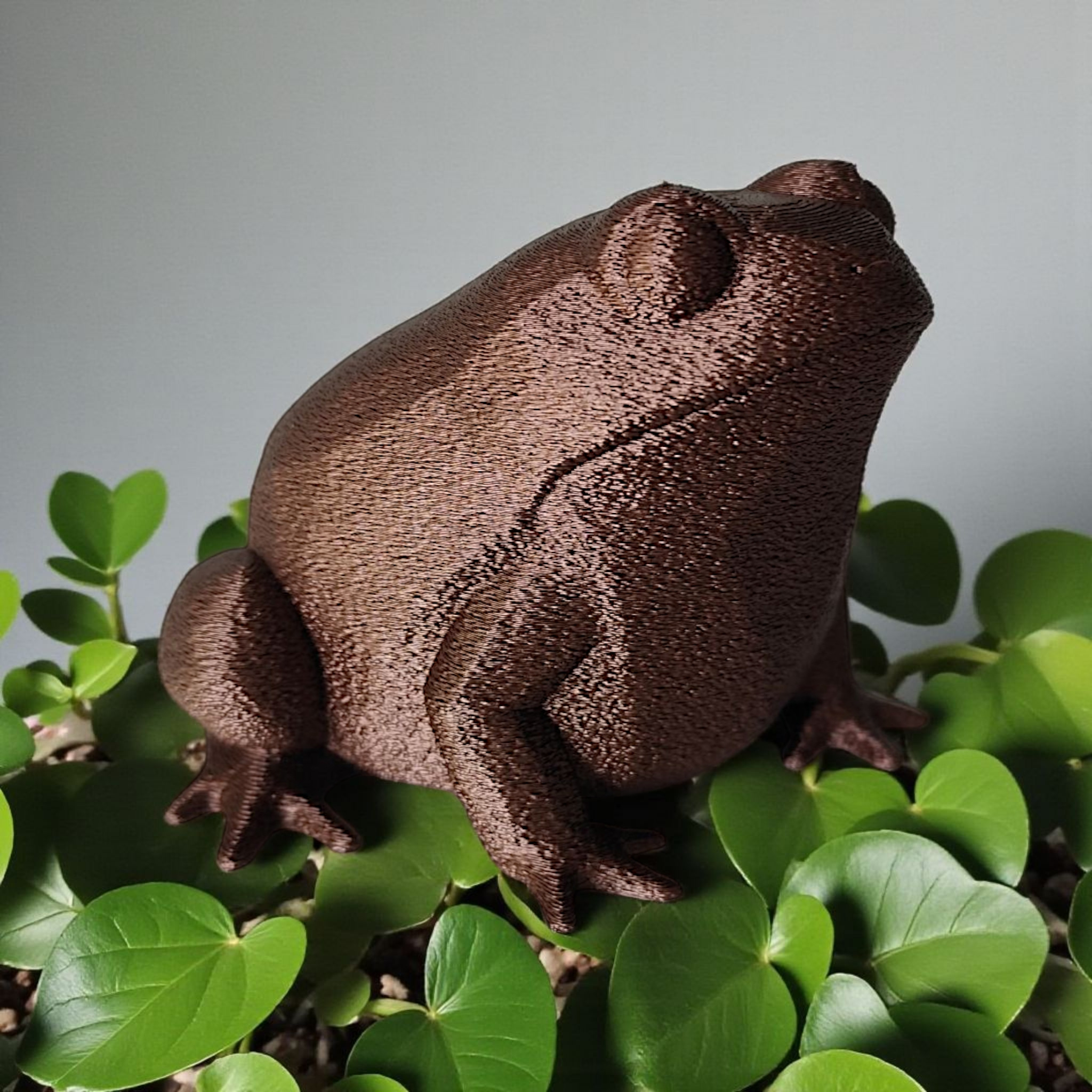 Grenouille low poly — vue 4