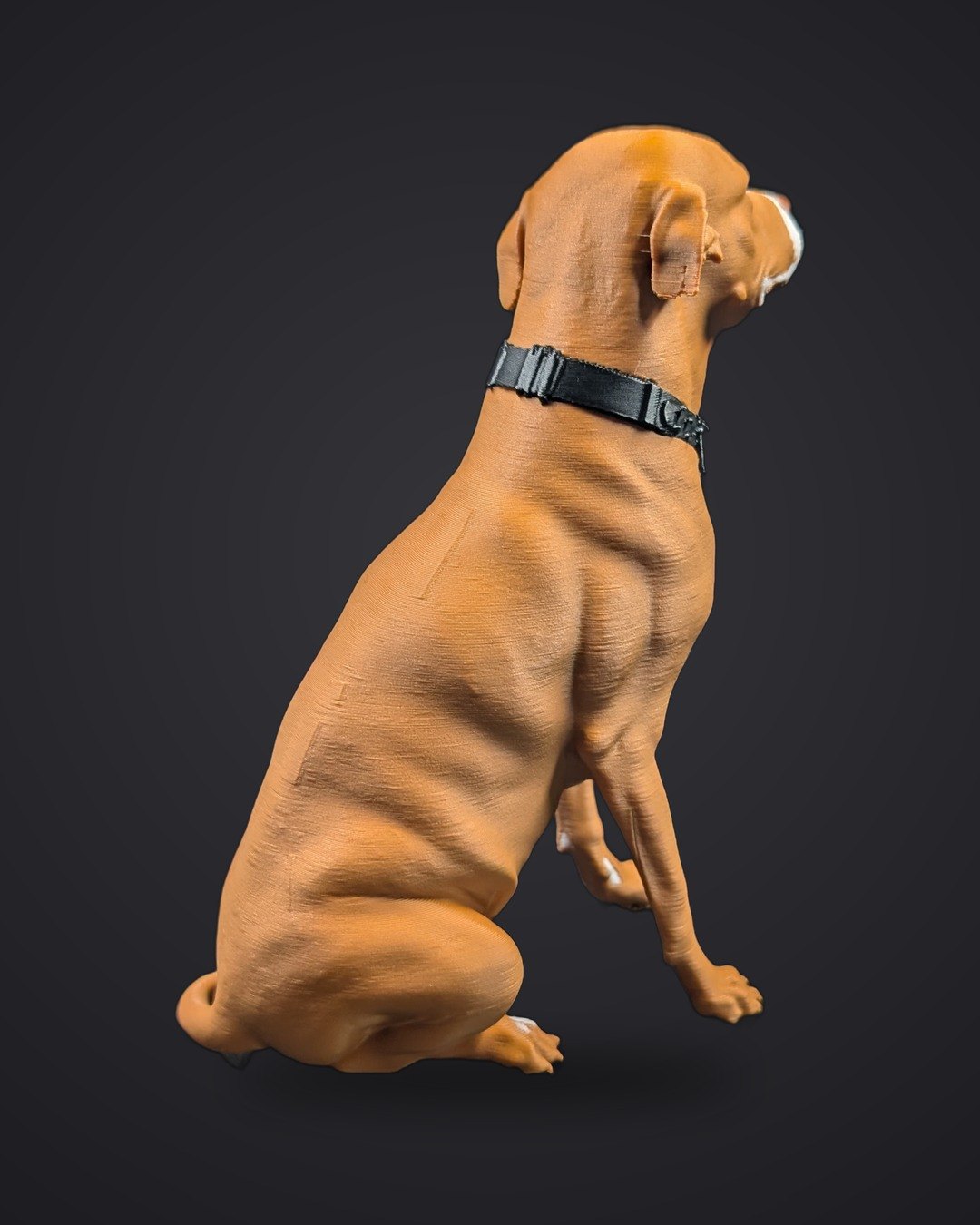 Figurine de pitbull imprimée en 3D d'après photo, vue de dos — Komplice3D