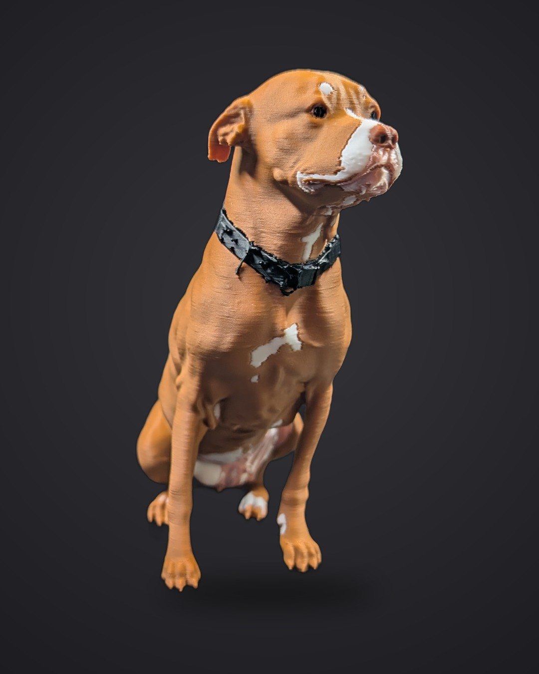 Figurine de pitbull imprimée en 3D d'après photo, vue de face — Komplice3D